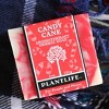 Plantlife Holiday Mint Soap Combo 4-Pack – Moisturizing, Soothing, Handcrafted, Plant-Based – Made in California, 16oz - 3 of 3