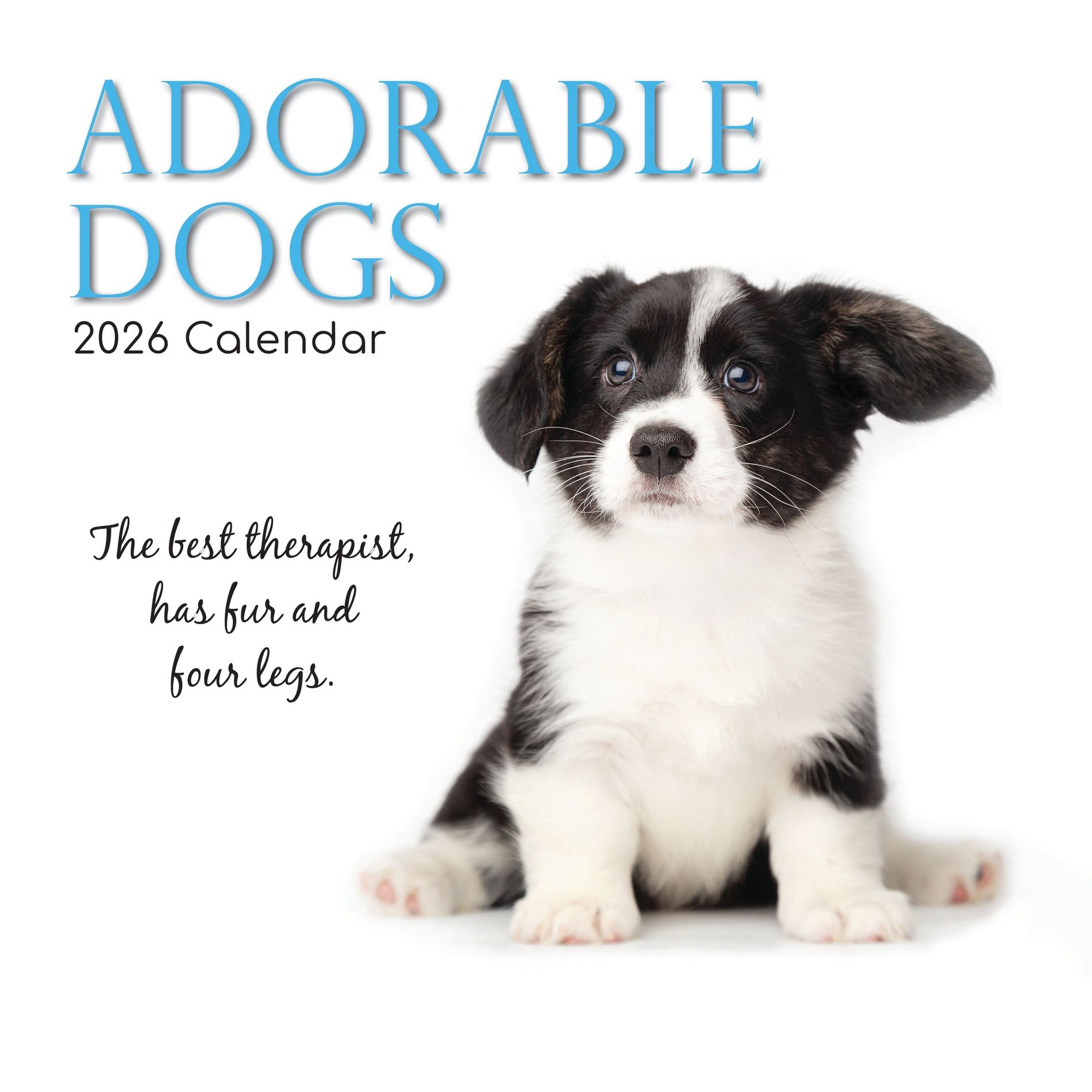 2026 Square Wall Calendar, Adorable Dogs, 16-Month Animals Theme, 180 Reminder Stickers (12x12 In)