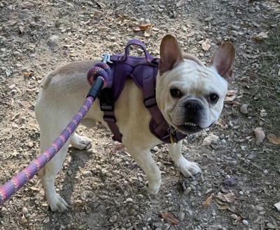 Guest review image 2 of 2, zoom in