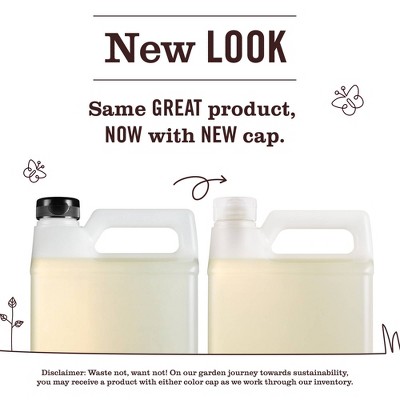Mrs. Meyer's Clean Day Basil Liquid Dish Refill - 48 fl oz: Paraben-Free, Phthalate-Free, Removes Grease