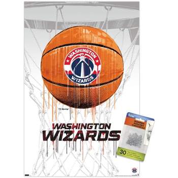 NBA Charlotte Hornets - Logo 20 Wall Poster, 14.725 x 22.375, Framed 