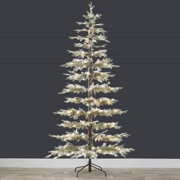Northlight Real Touch™️ Pre-lit Washington Frasier Fir Multi-function Slim  Christmas Tree - 7.5' - Dual Color Led Lights : Target