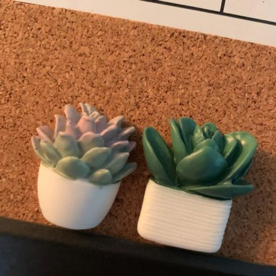 U Brands 6ct Potted Succulent Push Pins : Target