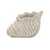 Okak 9x5.5x5.7 Inches Sand and Cement Conch Shell Planter Textured Finish for Indoor and Outdoor Use, Decorative Plant Pot - 3 of 4