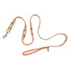 The Worthy Dog Tutti Frutti Pet Leash - image 3 of 4