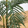 HomeStock  5 ft. Artificial Palm Tree in Pot for Indoor/Outdoor - 3 of 4