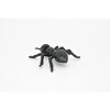 Collectible Wildlife Gifts | Ant, Black,  Very Nice Plastic Reproduction    1 1/2"   F6090 B381 - 2 of 4