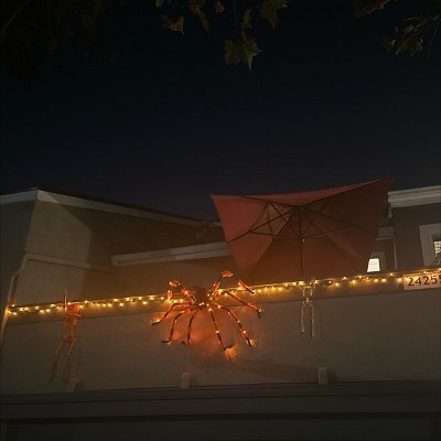 Guest review image 1 of 1, zoom in