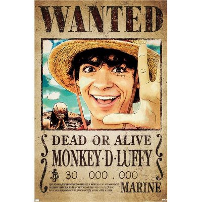 The Best Monkey D. Luffy Quotes of All Time (With Images)