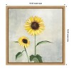 Amanti Art Sunny Blooms I (Sunflower) by Julia Purinton Canvas Wall Art Print Framed 16 x 16-in. - 3 of 4