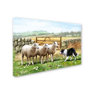 Trademark Fine Art -The Macneil Studio 'Sheepdog With Sheep' Canvas Art - 1 of 3