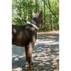 Country Brook Petz Heavy Duty Nylon Martingale Dog Collar with Deluxe Buckle - 30+ Vibrant Color Options - 3 of 4