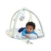 Skip Hop Carters Safari Playmat and Activity Gym - image 4 of 4