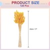Unique Bargains Decorative Natural Dried Floral Bunny Tail Artificial Plants 120 Pcs - 2 of 4