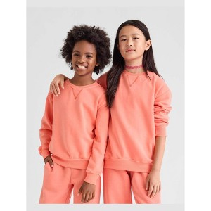 The Children's Place Boys Active Long Sleeve Garment Dyed Premium Fleece Sweatshirt - 1 of 4