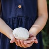Daydream Society - Clamshell Squeeze Squishy - Pack of 1 Squishy - 3 of 3