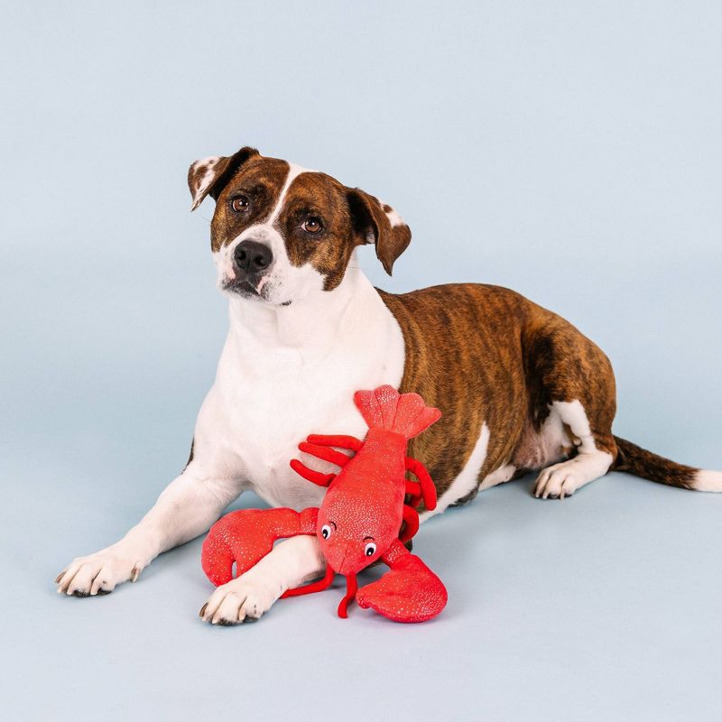 PetShop by Fringe Studio You&#39;re My Lobster Plush Dog Toy, 1 of 10