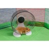 Prevue Quiet Wheel 9 1/2" for Small Animals - 2 of 4