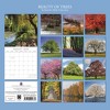 2026 Square Wall Calendar, Beauty of Trees, 16-Month Floral Theme with 180 Reminder Stickers (12x12 In) - 4 of 4