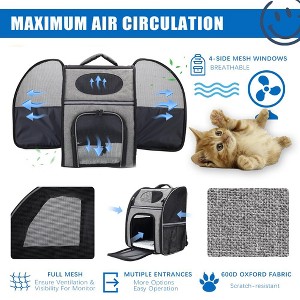 FluffyDream Pet Carrier Backpack - 1 of 4