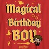 Boy's Harry Potter Magical Birthday Boy Icons T-Shirt - 2 of 4