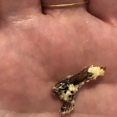 Guest review image 1 of 1, zoom in