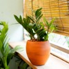 Maggift Planters Smart Self-watering Round Planter Pot for Indoor and Outdoor Terracotta Painted Plant Pot Handmade Rustic, Brown, 15"*15"*18" - 2 of 4