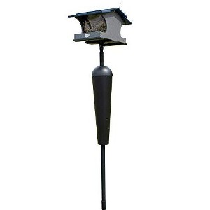JCS Wildlife Large Poly Hopper Bird Feeder  - Mounting Pole Bundles Available! - 1 of 4