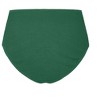 Women's Plus Size Avalon Hi Waist Bikini Brief - green | CITY CHIC - 3 of 4