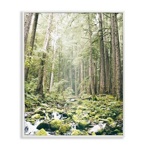 Stupell Industries Verdant Forest Glow Wilderness Framed Giclee Art - 1 of 4
