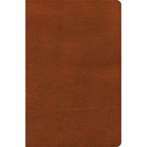 NASB Personal Size Giant Print Bible, Burnt Sienna Leathertouch, Indexed - by  Holman Bible Publishers (Leather Bound) - 1 of 1