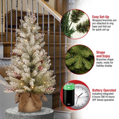 Dunhill Fir 3' Tabletop Christmas Tree with Warm White LED Lights