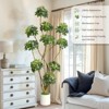 5FT/6FT/7FT Artificial Umbrella Schefflera Tree - Multiple Trunks Design in White Pot - Faux Floor Plant for Home Office or Indoor Decor - 2 of 4