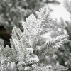 25"H, 20.5"H & 15.5"H Sullivans Artificial Tabletop Frosted Pine Christmas Tree Set of 3, Green-White - 2 of 3