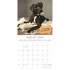 2026 Square Wall Calendar, Dog Shaming, 16-Month Humor Theme with 180 Reminder Stickers (12x12 In) - 3 of 4