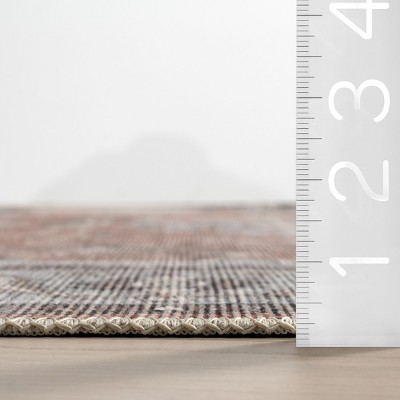 Daleyza Rust Red Cotton Medallion 5' x 8' Area Rug