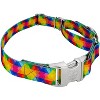 Country Brook Petz Martingale Dog Collar with Premium Buckle - Groovy Collection - 3 of 4