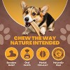 WhiteTail Naturals Split Elk Antler Dog Chews – 6 Pack Medium Size – Natural, Long-Lasting Chew Bones for Dental Health & Aggressive Chewers - 4 of 4