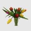 10 Stem Cut Fall Rainbow Tulips - Good Little Garden™ - 2 of 3