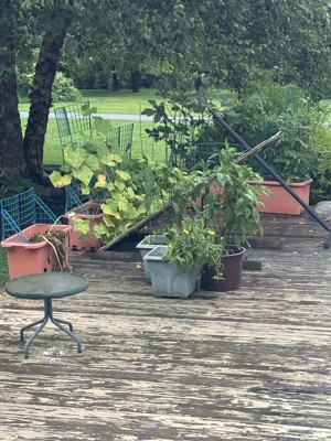 Guest review image 1 of 1, zoom in