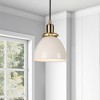Hudson and Canal 8" Wide Pendant with Metal Shade - 3 of 4