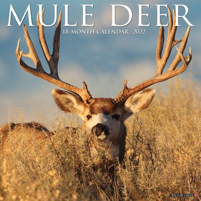 2022 Wall Calendar Mule Deer - Willow Creek Press