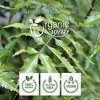 Organic Neem Leaf Powder 8 Oz - 2 of 2