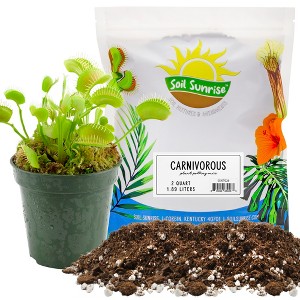 Soil Sunrise Carnivorous Plant Potting Soil Mix for Venus Fly Trap, Pitcher Plants - 1 of 4