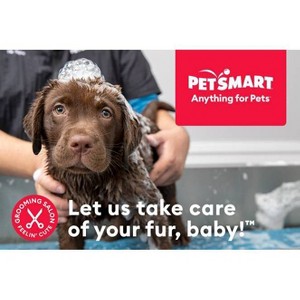 PetSmart Gift Card (Email Delivery) - 1 of 1