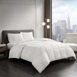 Cotton Sateen Down Alternative Comforter Level 1 Warm 3M Thinsulate Year Round Warmth (Twin) White