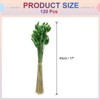 Unique Bargains Decorative Natural Dried Floral Bunny Tail Artificial Plants 120 Pcs - 2 of 4