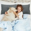 PiccoCasa Breathable Soft Embroidery Zipper Brushed Pillowcases 2 Pcs - 3 of 4