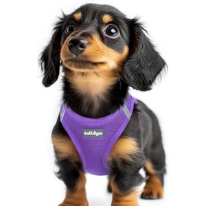 rabbitgoo Small Dog Harness, Step-in Soft Mesh Puppy Vest with Safety Buckle, Breathable Reflective Pet Harness for Extra Small Dogs, Purple XXS - 1 of 1