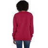 Hanes Unisex Garment Dyed Fleece Sweatshirt - 3 of 4